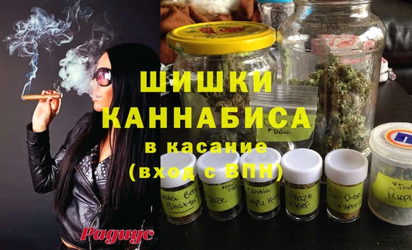 ГАЛЛЮЦИНОГЕННЫЕ ГРИБЫ Сосновоборск