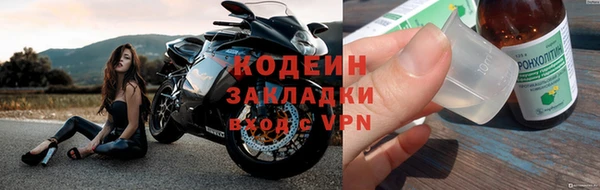 спиды Вяземский