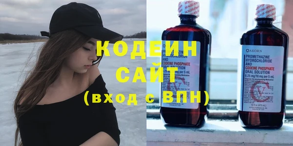 спиды Вяземский