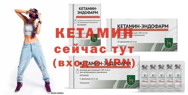 спиды Вяземский