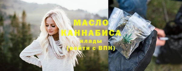 спиды Вяземский