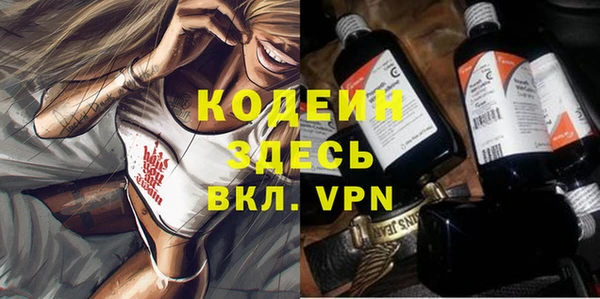 спиды Вяземский