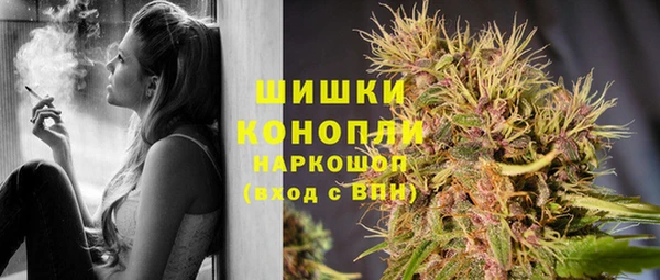 спиды Вяземский