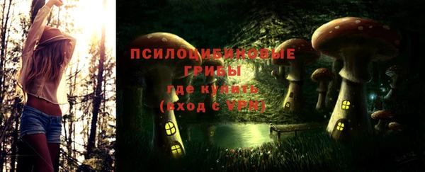 спиды Вяземский