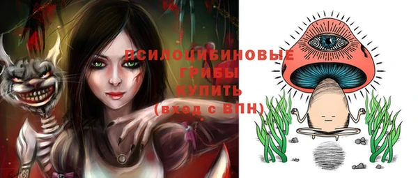 ГАЛЛЮЦИНОГЕННЫЕ ГРИБЫ Сосновоборск