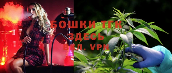 СК Сосновый Бор