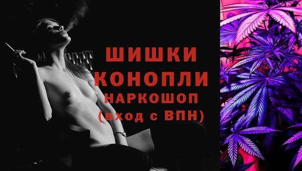 СК Сосновый Бор