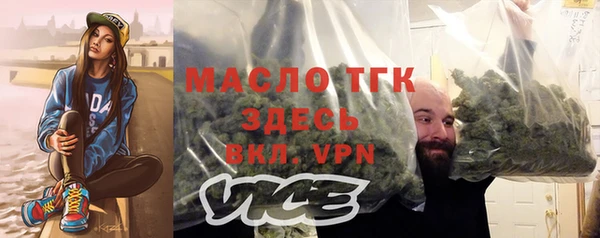 спиды Вяземский